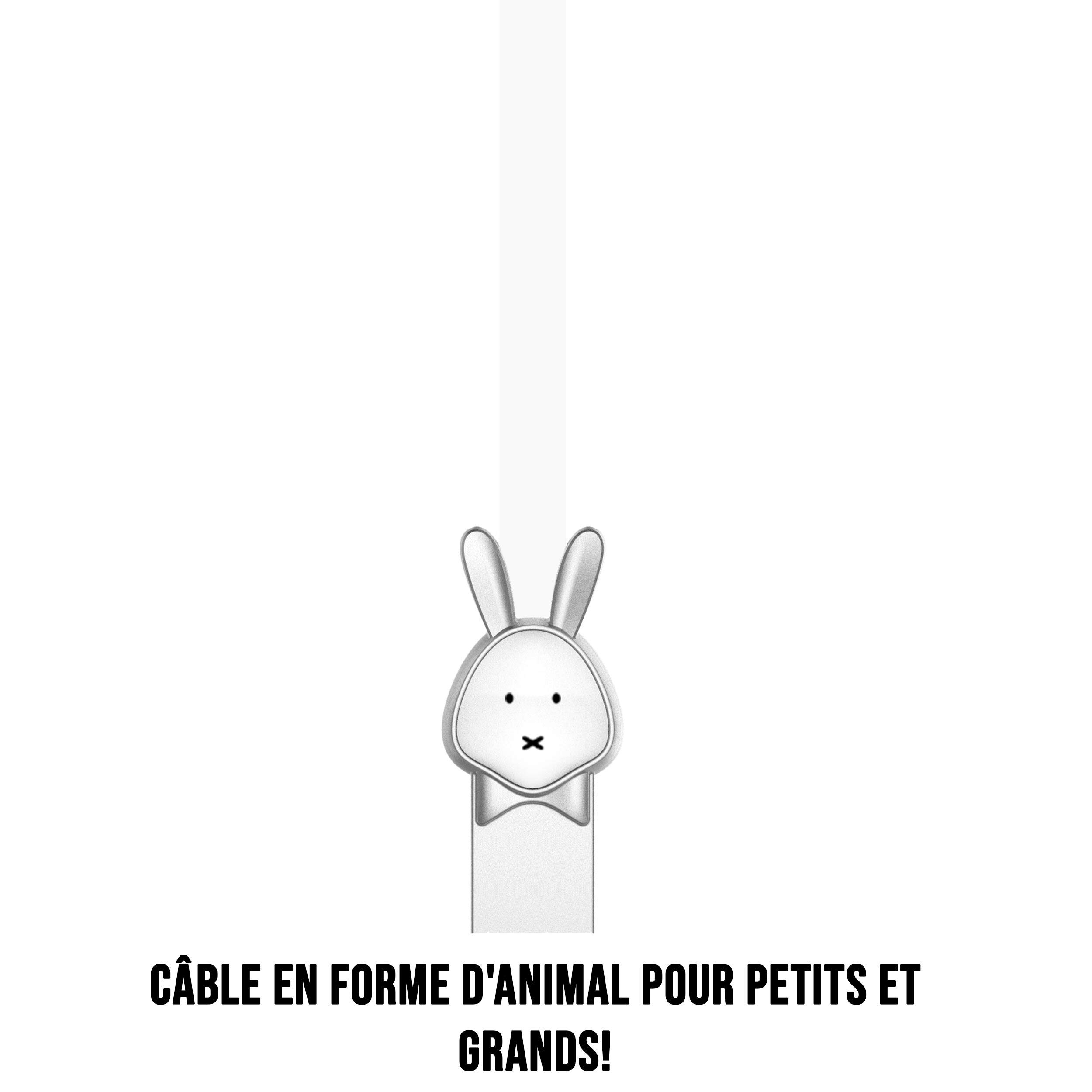 WE Cables Lapin câble micro USB plat 1,2 m blanc