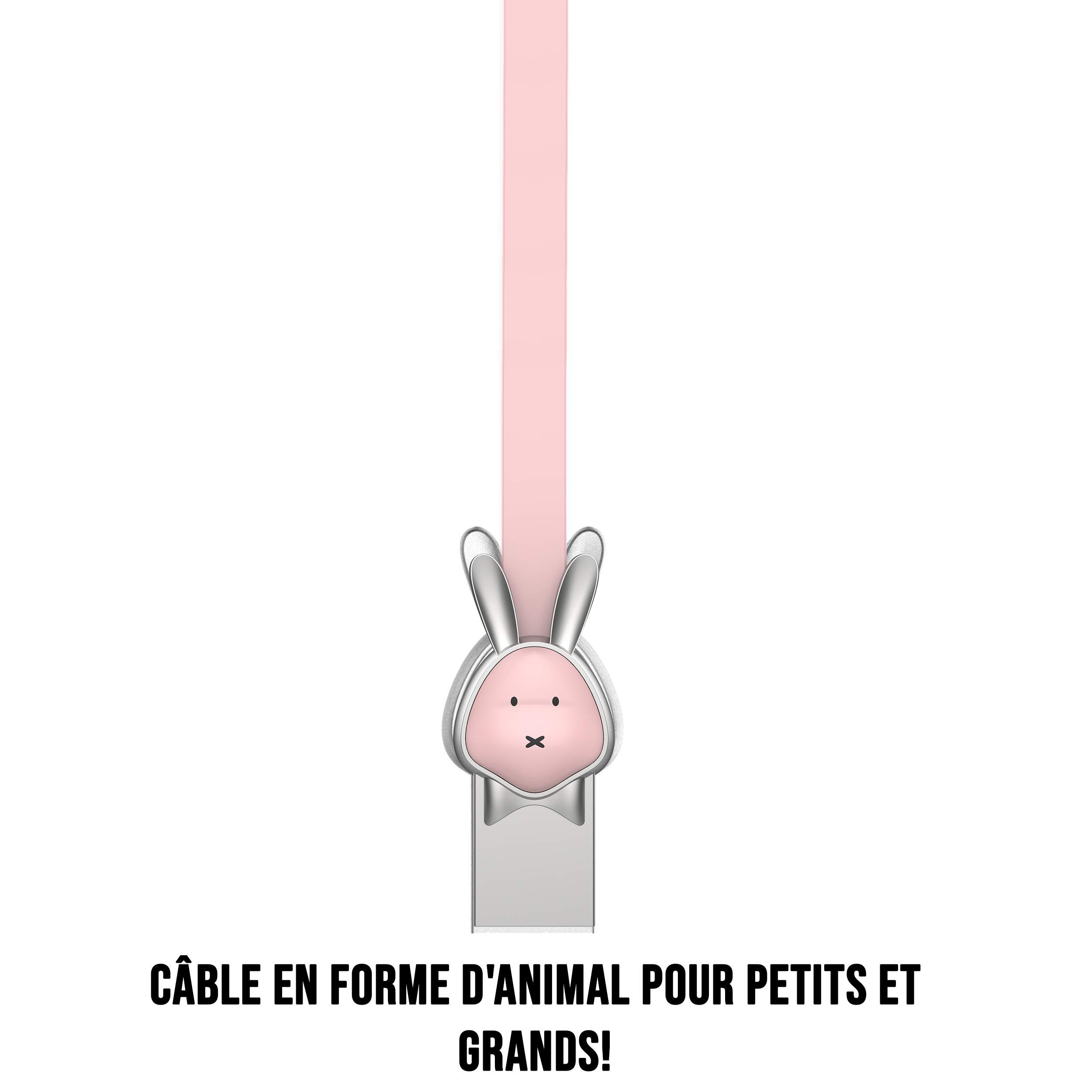 WE Cables Lapin câble micro USB plat 1 m rose