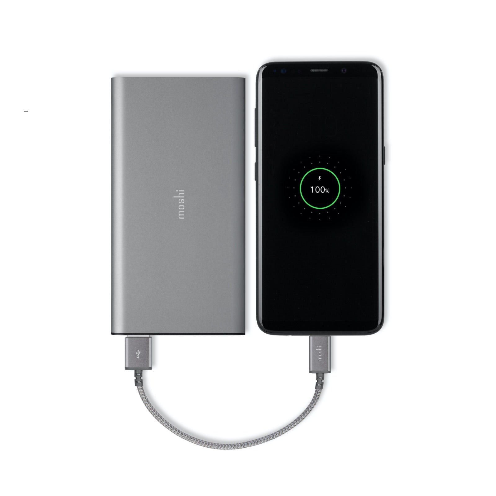 MOSHI Cables and Adapters Integra USB-C to USB-A Charging Cable câble 0,25 m