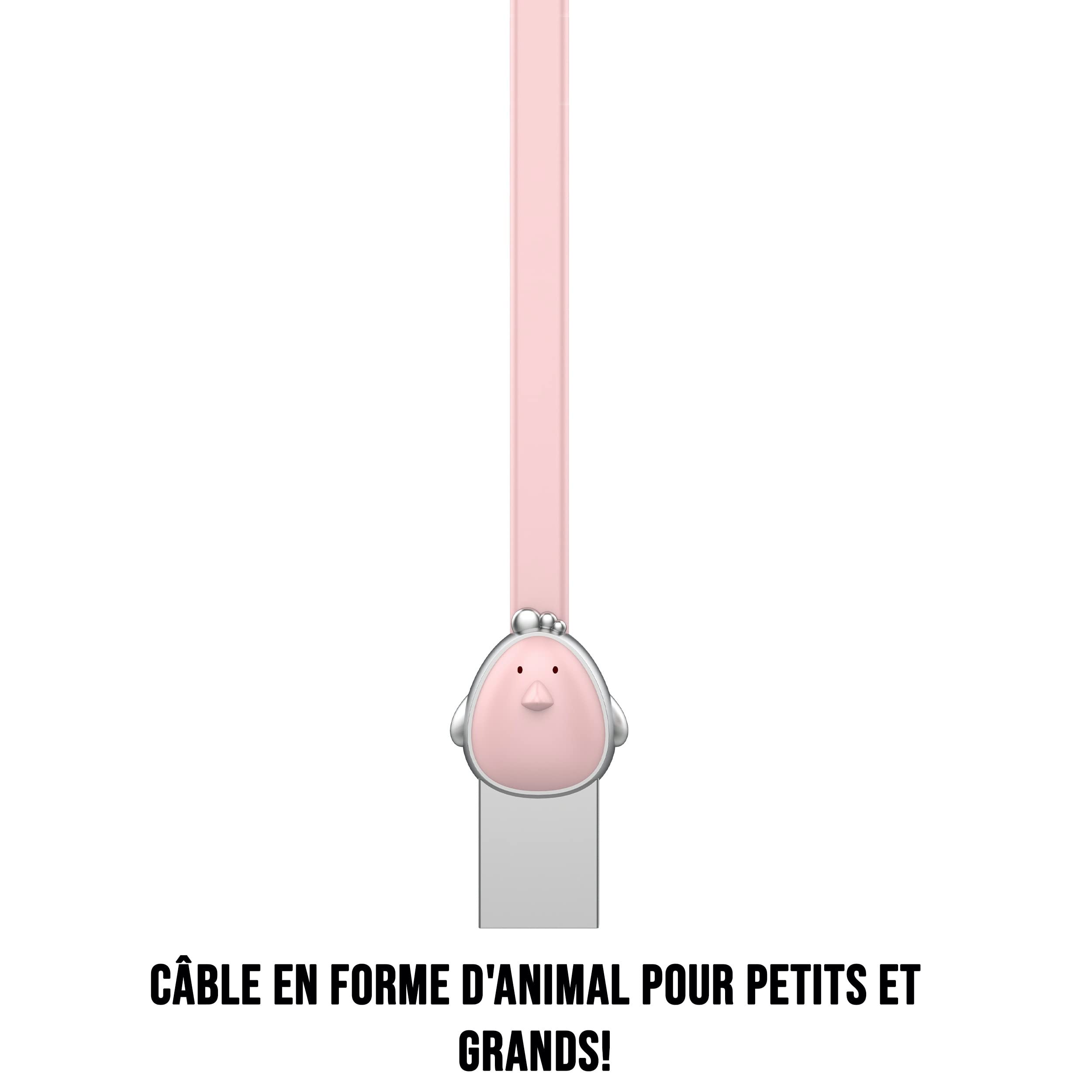 WE Cables Poule câble micro USB plat 1,2 m rose