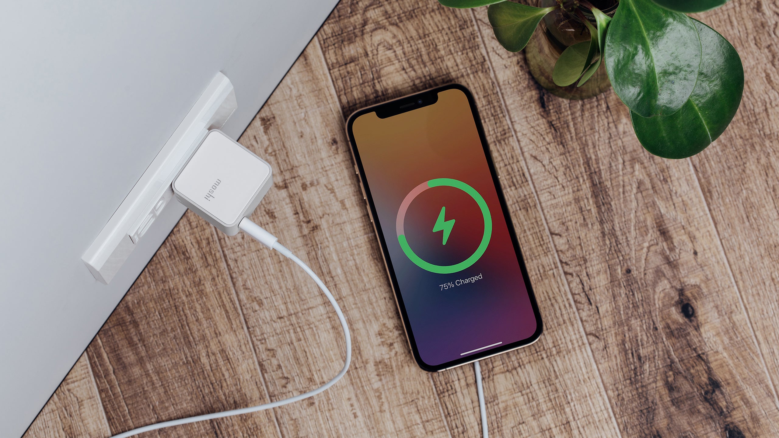 MOSHI Chargers Qubit USB-C Charger chargeur mural 18 W compact