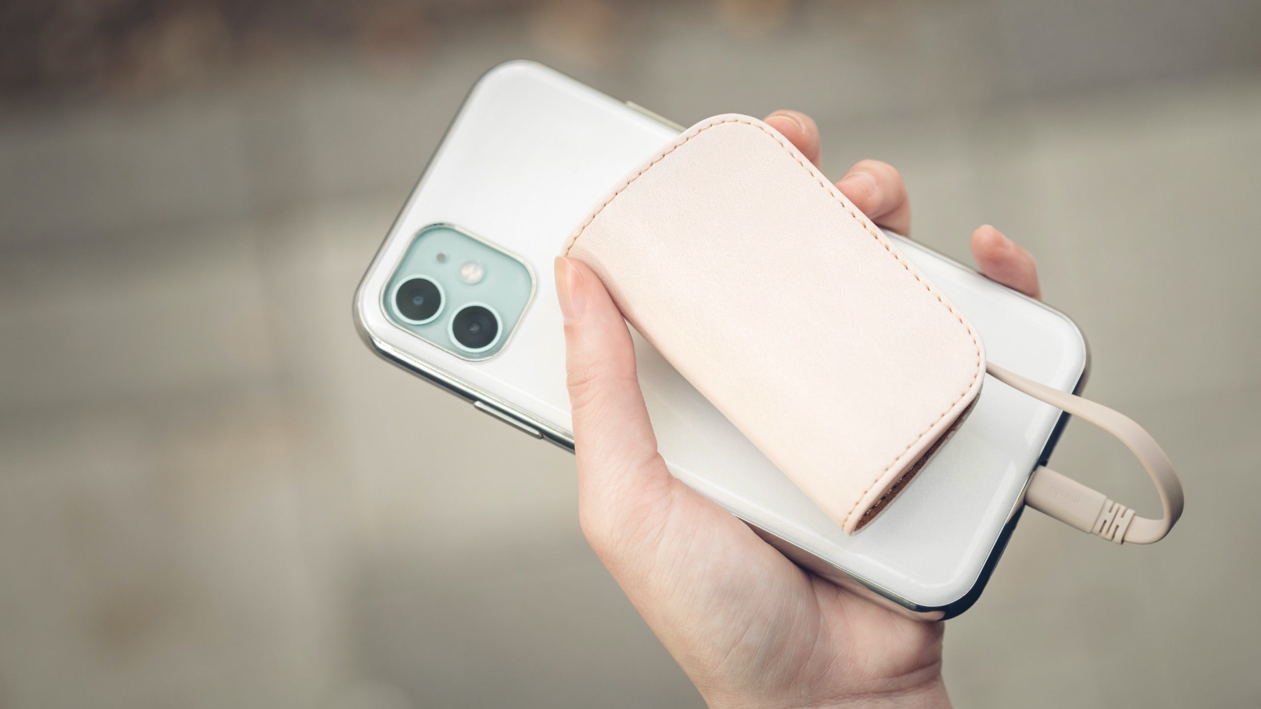 Moshi Chargers IonGo 5K batterie externe Ivory White 5 000 mAh Lightning